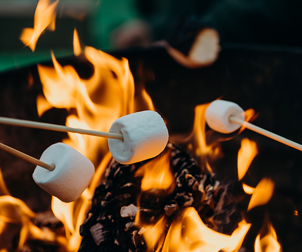 Marshmallows roasting over a fire