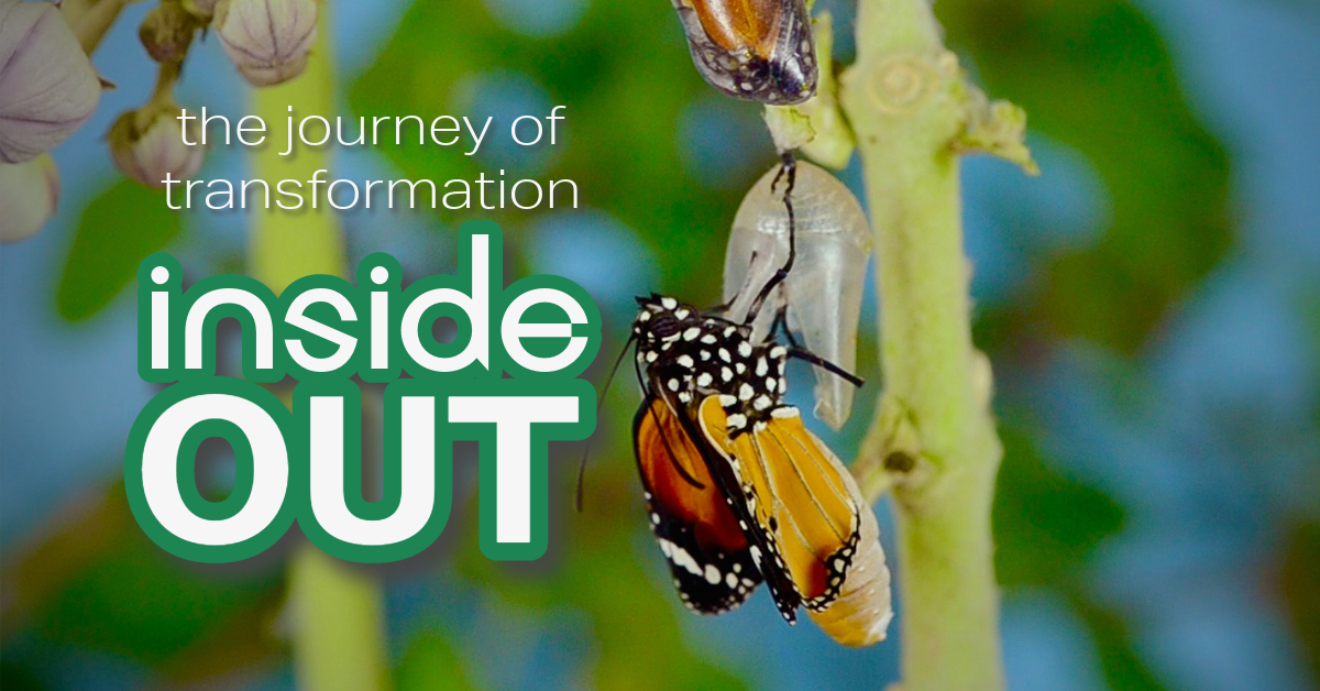 Inside Out: What Is My Picture Of The Gospel?