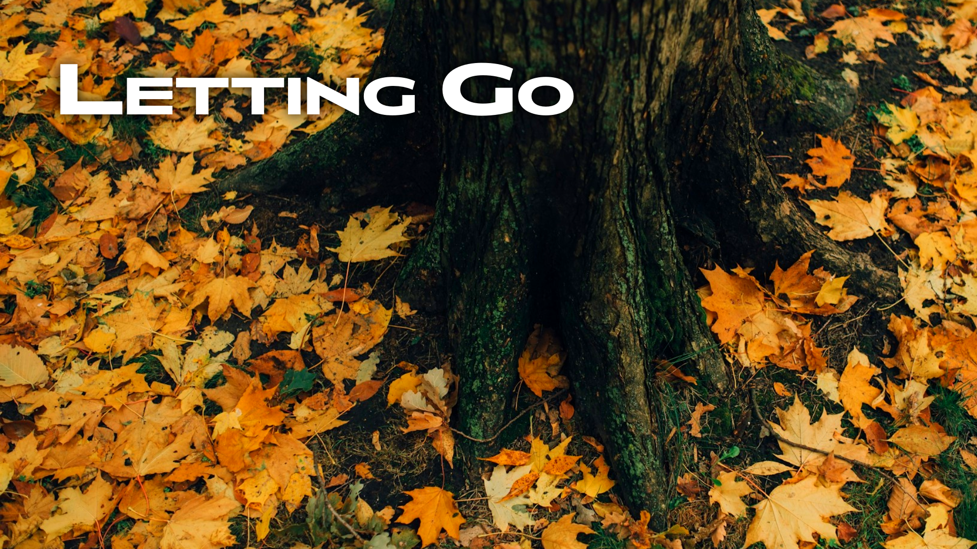 Letting Go of Me